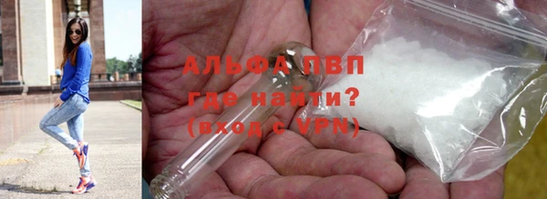СК Гусь-Хрустальный