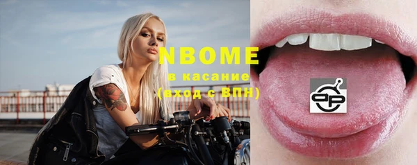 стафф Гусев