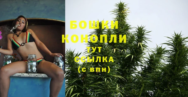 стафф Гусев