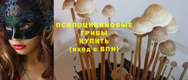 стафф Гусев
