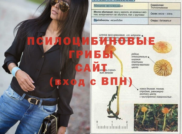 mix Горно-Алтайск
