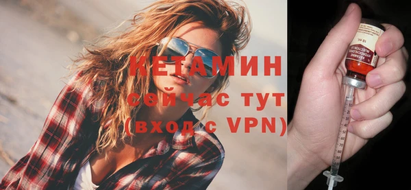 стафф Гусев